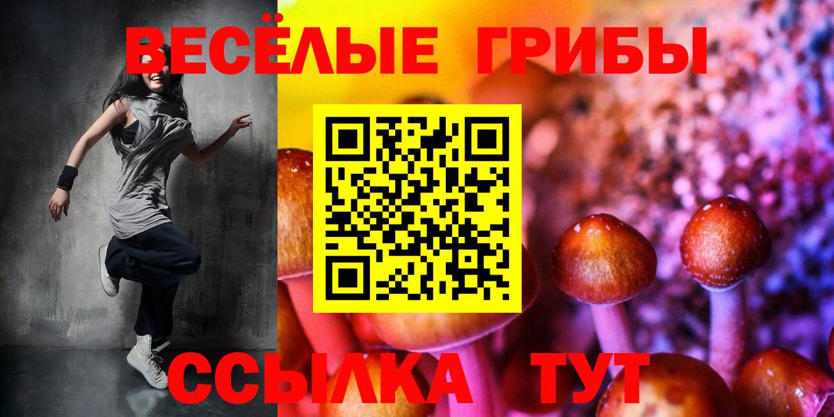 Псилоцибиновые грибы мицелий  Вход с VPN  Псилоцибиновые грибы Cubensis  Малоярославец 
