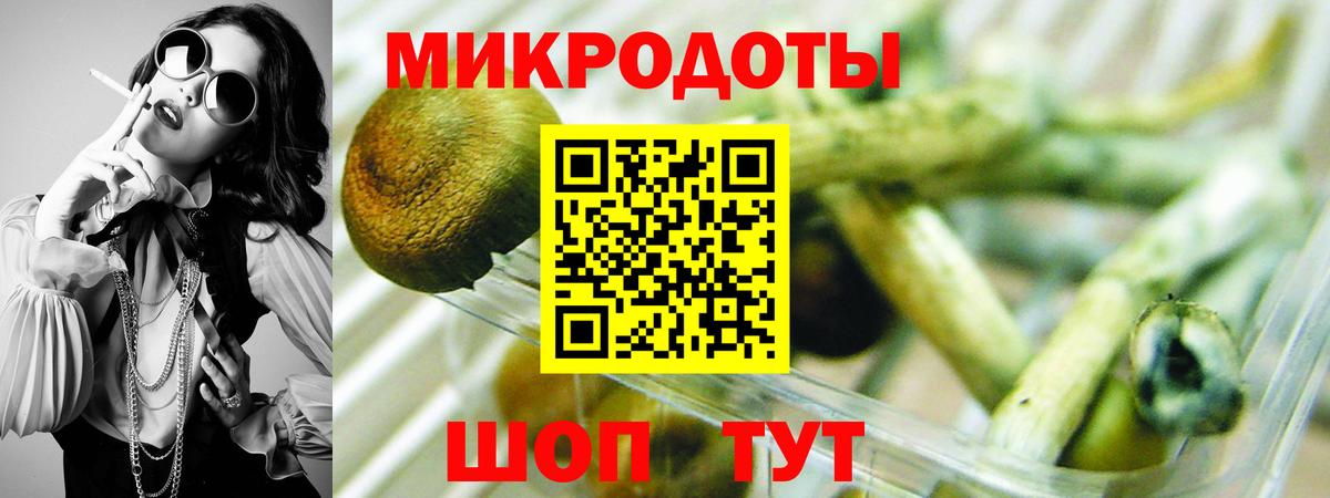 Галлюциногенные грибы прущие грибы Малоярославец